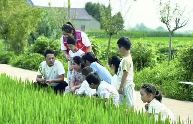 乡村振兴这几年：变化看得见，未来更可期