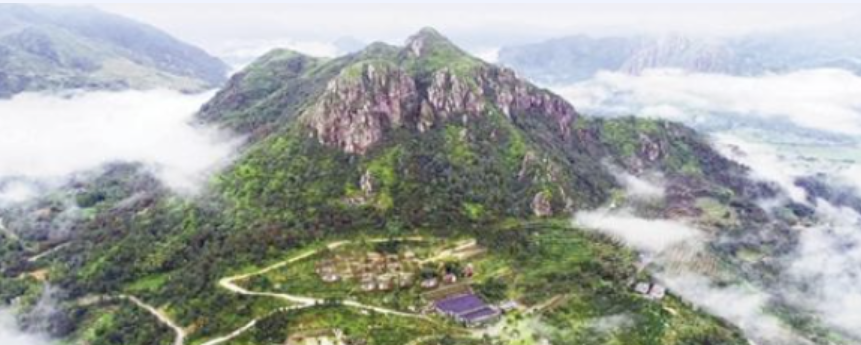 2026年智慧农业申报全流程：关键节点与操作要点